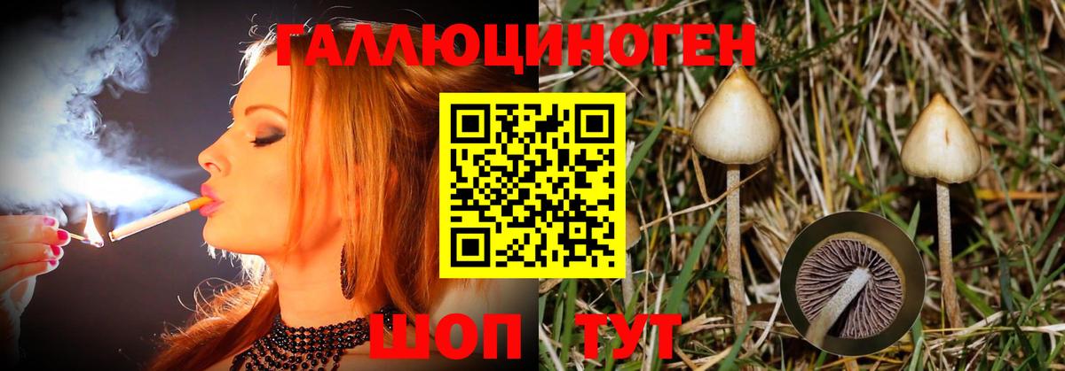Псилоцибиновые грибы Cubensis Медногорск