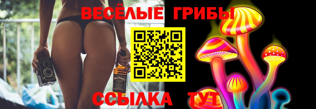 Галлюциногенные грибы мицелий  где найти   Медногорск  Вход с VPN 